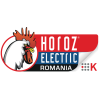 Horoz Electric